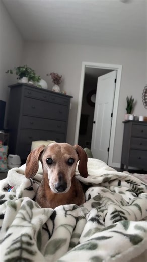 Ravelli (@rav_drift)’s videos with original sound - Ravelli