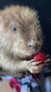 211 reactions · 11 shares | Let’s kick this 5$ Friday off with all...