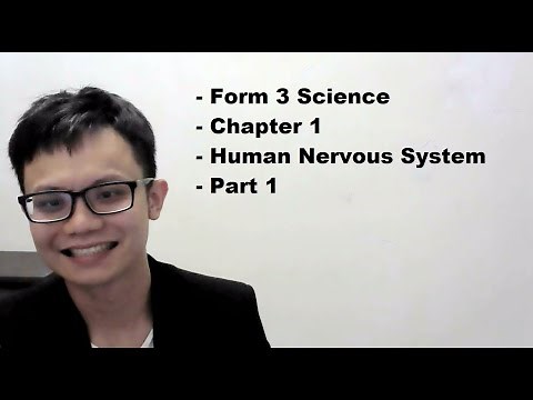 - Form 3 Science- Chapter 1- Human Nervous System- Part 1