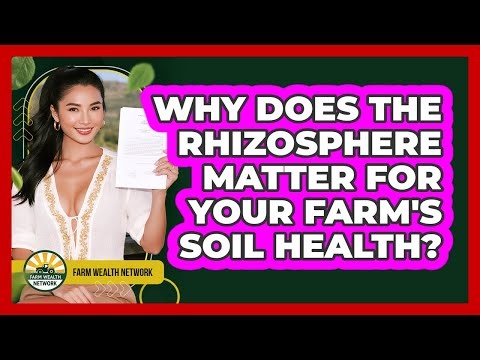 Why Does The Rhizosphere Matter For Your Farm's Soil Health? - Farm Wealth Network