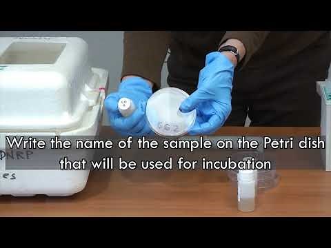 E. Coli Bacteria Testing