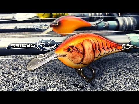 TRULY The Best Way To Catch LATE FALL BASS