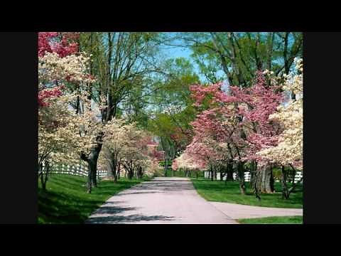 daar bij de waterkant