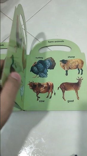 my first animals board book