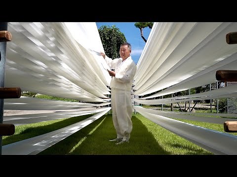 Korean Traditional Silk Master. Process of Making Silk From Cocoon