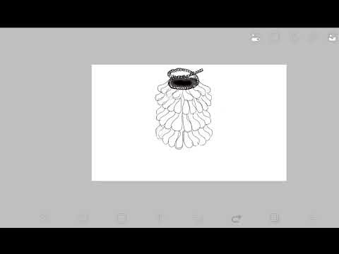 Easy way to draw the structure of TMV tobacco mosaic virus