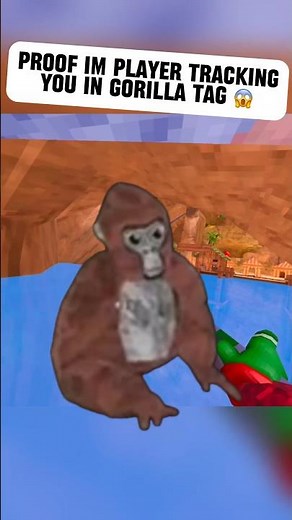 Proof im player tracking you in gorilla tag! | #gorillatag #oculus #vr #gtag