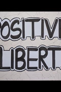 CLASS 11 POLITICAL SCIENCE PROJECT | FREEDOM PROJECT FILE | POLITICAL SCIENCE PROJECT | Class XI
