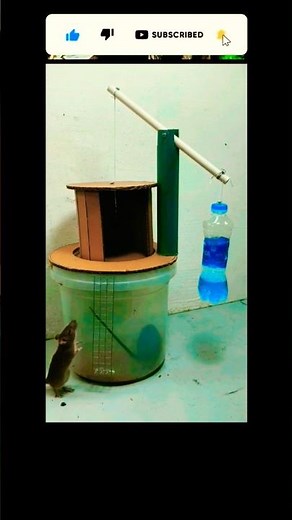 Ultimate DIY Mouse Trap Idea 🐭 | Genius Homemade Trap That Works Fast!