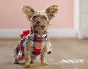 1K reactions · 108 shares | An easy way to submit a claim that also fits in your purse. | Progressive | Facebook