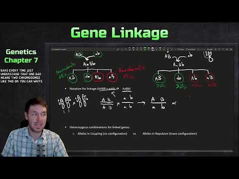 Introduction to Gene Linkage, Recombination, and Genetic Mapping | Genetics Ep. 23