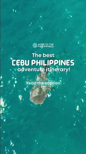 Save this Cebu itinerary | Guide to the Philippines - Travel Agency