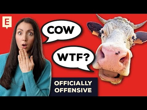 The UK's Bizarre Swear Words Officially Ranked!