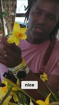 Discover Stunning Daffodil Varieties: From Giant to Mini!