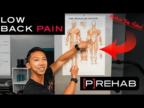 6 of the Best Lower Back Exercises: Your New Back Mobility Routine