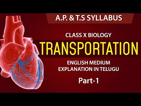 #Transportation | Human Circulatory System | 10th biology chapter 3 | AP & TS syllabus E.M
