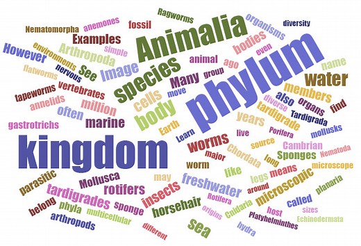 Kingdom Animalia - Different Phylum and their examples