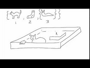 Sets and their elements