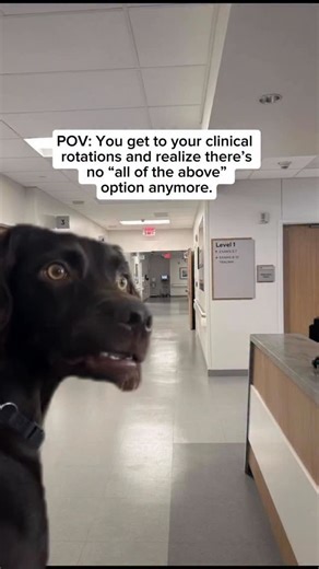 64 reactions | uh oh  • • • #medicalstudent #medstudent #medschool #medicine #doctor #medicalschool #medlife #medstudentlife #studygram #futuredoctor #medschoolmeme #doctorintraining #medicaleducation #meded #residency #medmeme #funny #meme #sutdents | Inspira Advantage | Facebook