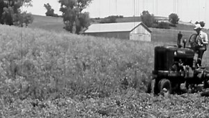 Since 1923, Farmall series tractors have delivered high-efficiency farming for operations of all sizes. Show us your Farmall in action! | CASE IH