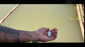 1.9M views · 77K reactions | Anh chỉ mơ có Em - Ca Sĩ Y Điêu Cùng Diễn Viên Tép Ai Đồ ( Xem Thêm Trên Kênh youtube https://youtu.be/PMvzWbAMisg | Đur Siu Official 81 | Facebook