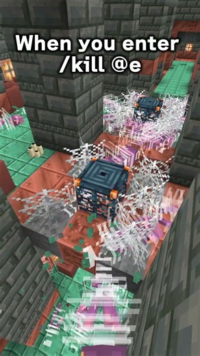 When you enter /kill @e