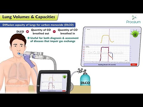 Lung Volumes & Capacities (Animation): 🫁 Respiratory Physiology 🌬️