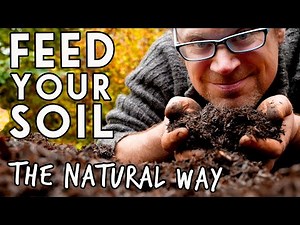 3 Ways to Build Soil Health💛