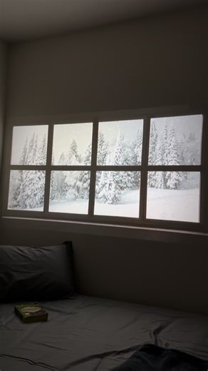 Transform Your Walls into Winter Windows