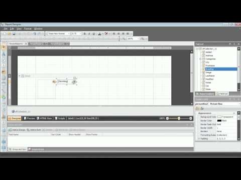 DevExpress Webinars - The End-User Report Designer