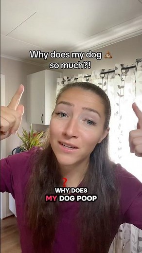 “Why does my dog poop so much?”
