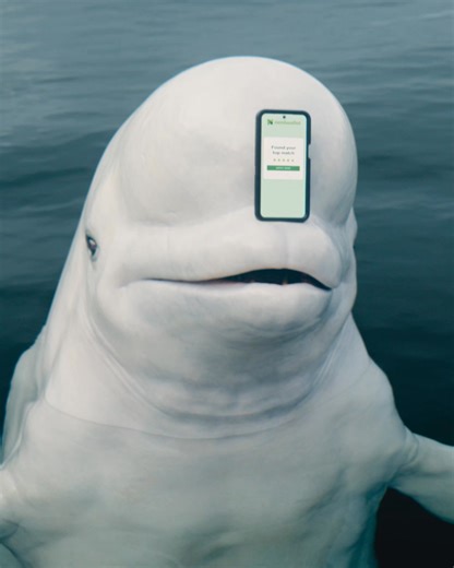 Using the Nerds to get a lower rate on your auto insurance? Now that's genius. | NerdWallet