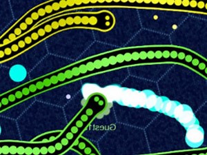 Gulper.io - Play Snake
