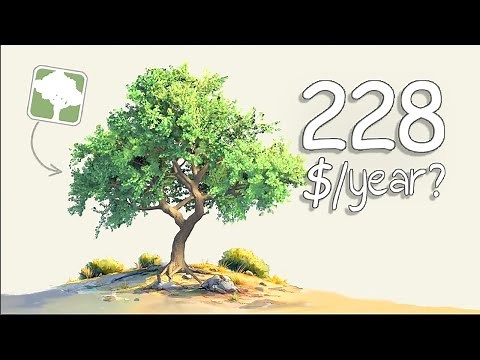 Cinematic Anime Tree | SpeedTree to Blender (include Project Files)