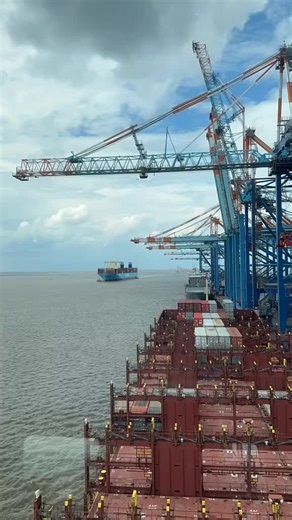 James Gary MacArthur on TikTok