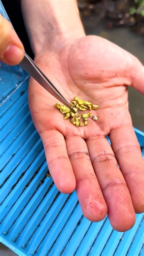 This DIY Gold Machine Actually Works!