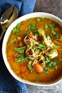 The Best Instant Pot Chicken Vegetable Soup
