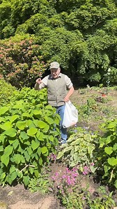 2.2K views · 40 reactions | #add WEBSHOP...