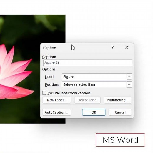MS Word Inserting Image Captions