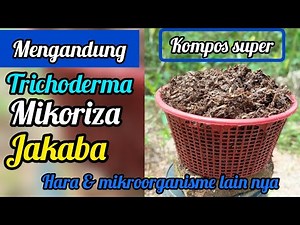 10 days success: Turning dry bamboo leaves into super fertile compost