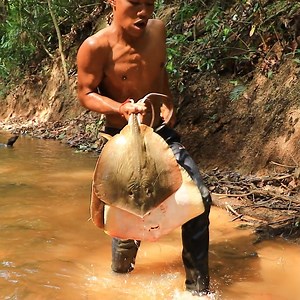 Best Cook Sea Turtle | Rural Cooking