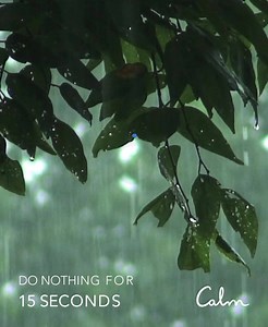 10K reactions · 5.3K shares | The most relaxing app in the world | Calm | Facebook