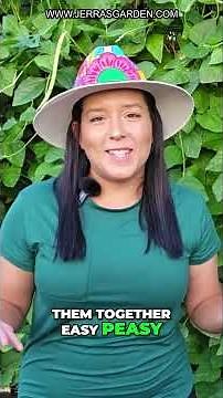 How To Build A New Raised Garden Bed