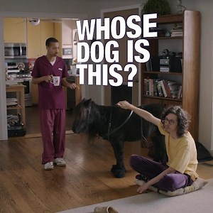 3.3K reactions · 365 shares | You could keep a mini horse in your apartment to help you feel better. Or, you could just call the GEICO Insurance Agency. | GEICO | Facebook