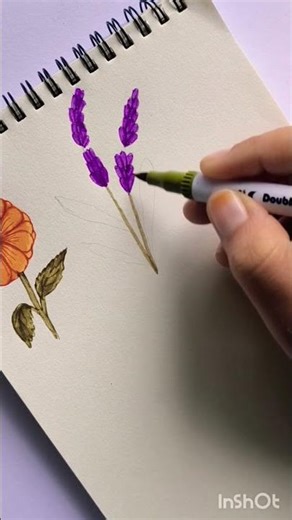 Lavender flower drawings #art #floraart #flowerdrawing