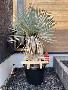 How to Add Another Email Account on iPhone 17, 16, 15