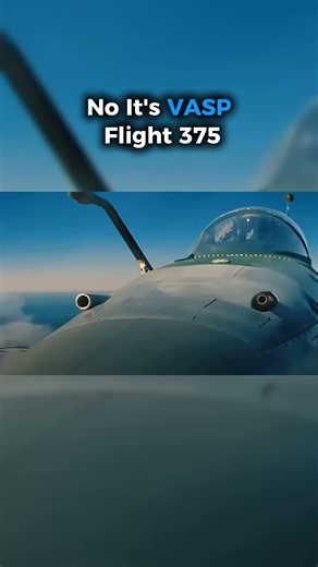 What the pilot did on VASP Flight 375 😱✈️#aviation #flightsimulator #shorts #viral