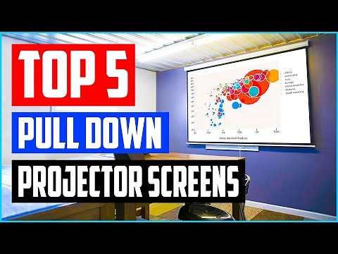 Top 5 Best Pull Down Projector Screens in 2021 Reviews