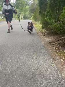 94 reactions · 11 shares | MSPCA-Angell on Reels | Facebook