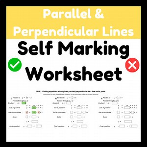 Parallel & Perpendicular Lines -Self Marking Worksheet (Excel) - Year 10 Algebra